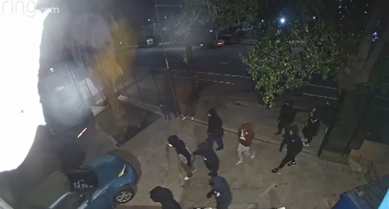 LA business owner slams Democrats after mob loots warehouse: 'Give me a reason to vote for you again'