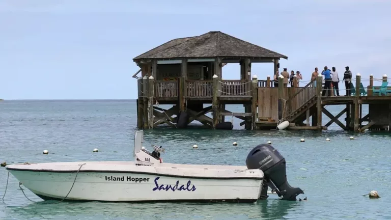 Lauren Erickson Van Wart Wedding Photos With Husband Ernest