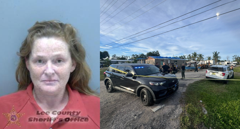 Lori Leanne Quinn arrested for battery amid homicide