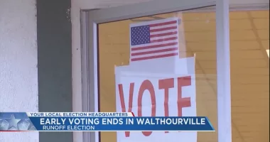 Low early voting turnout for Walthourville mayoral runoff