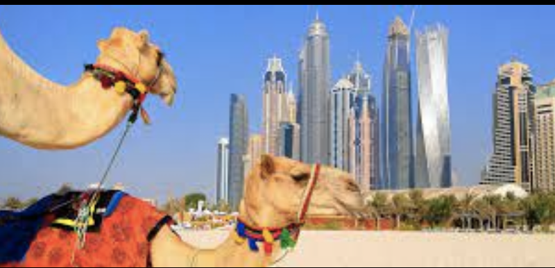 Maximizing Your Budget for an Unforgettable Dubai Experience
