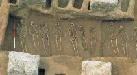 New study claims 'structural racism' played role in Black Death