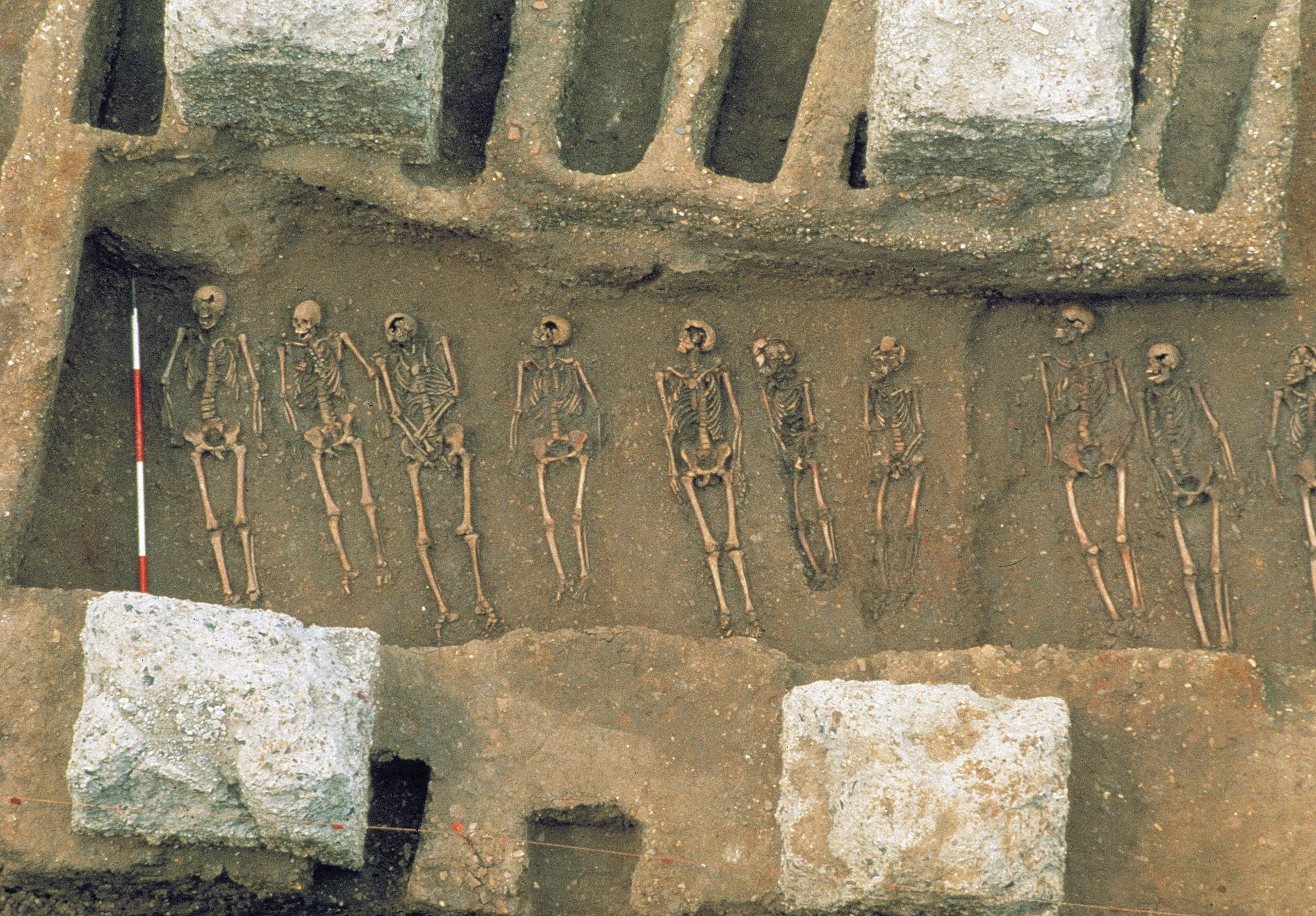 New study claims 'structural racism' played role in Black Death