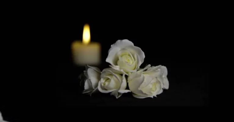 Obituary: Fargo ND Jackson Daly Accident Linked To Death