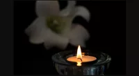 Steve Kotsopoulos Obituary