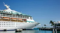 Royal Caribbean cruise passenger, 41, missing after falling overboard