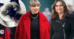Taylor Swift 'loves' that Mariska Hargitay named her new cat Karma