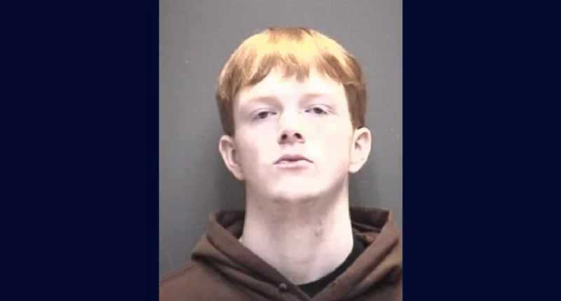 Teen bailed out for $1M after double shooting, charged again