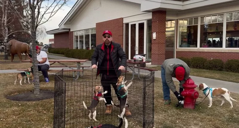 Volunteer drivers log hundreds of miles in the name of pet adoption