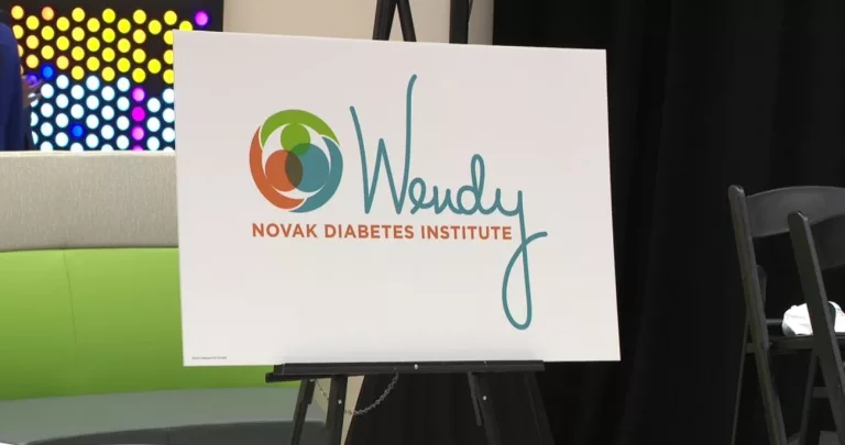 Wendy Novak Age: Insights Into Wikipedia Bio & Career Earnings