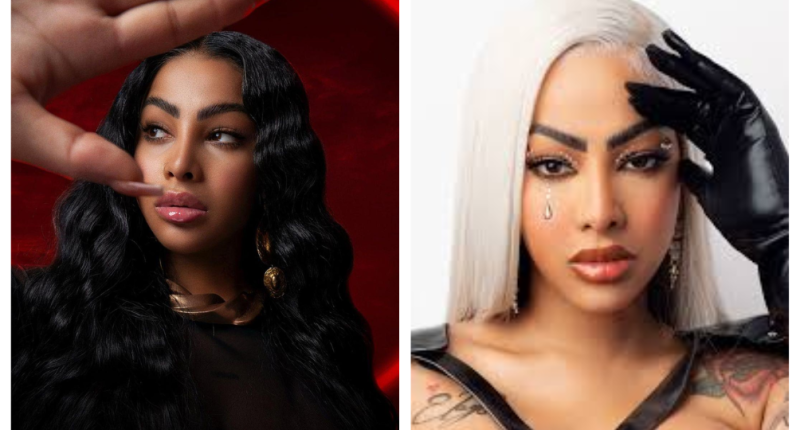 Yailin La Mas Viral Arrested And Charges In Miami: What Did She Do? Mugshot