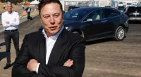 Tesla CEO Elon Musk claimed that the environmental movement has gone too far
