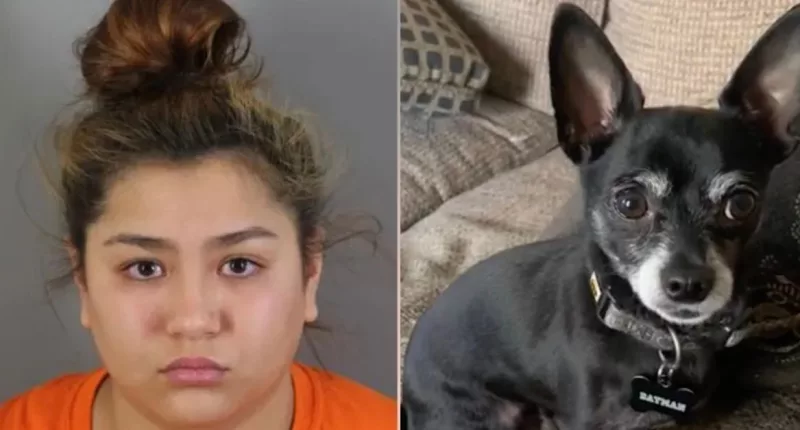Babysitter killed family's dog in front of child: Cops