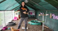 Katriona Shovlin, 31, charges a paltry £3 a night for luxury accommodation in her 'hennels'