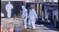 Decapitated HEAD and severed hands are discovered by new homeowners