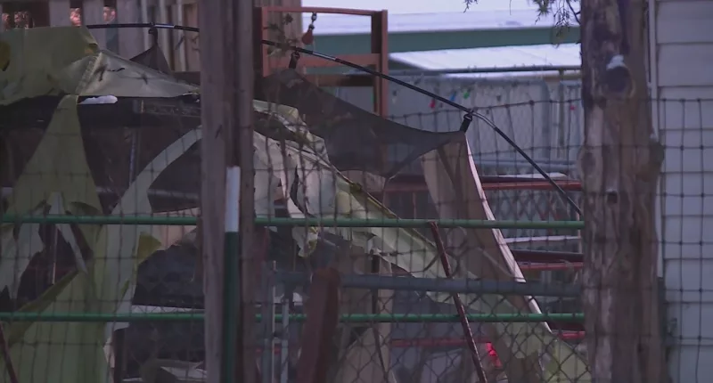 Dogs, goats, monkey rescued in Missouri from frigid conditions