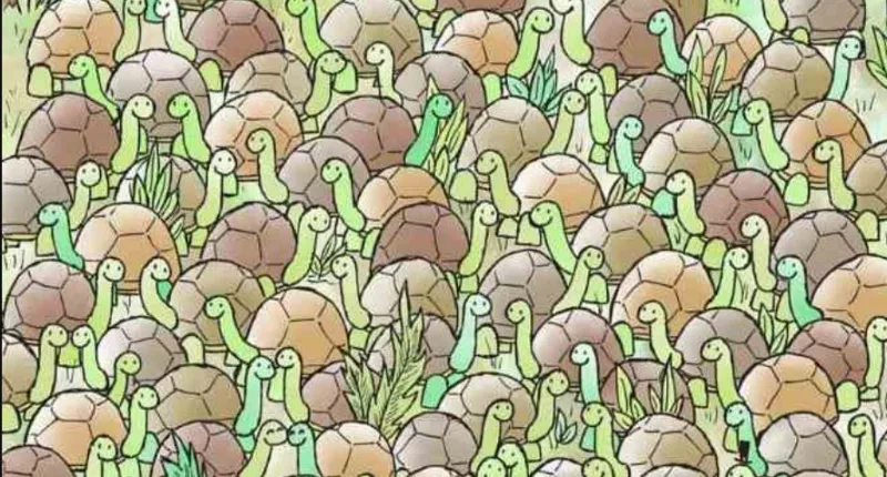 Can you see the hidden snake in this image?