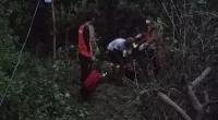 A girl of nine was killed by a crocodile in front of her brothers while they were fishing