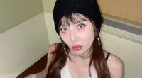Model Fact