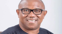 Is Peter Obi Gay? Who is Peter Obi? Peter Obi Wiki, Age, Bio, Height, Wife, Net Worth, Nationality and More