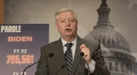 Llindsey Graham: Trump would believe 'martians' stole the election