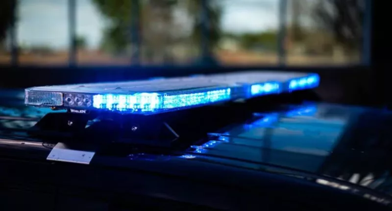 Maxine Mcmanaman Mug Shot