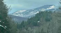 NY hiker clung to tree above Adirondack cliff after sliding hundreds of feet: ‘Thought she was going to die’