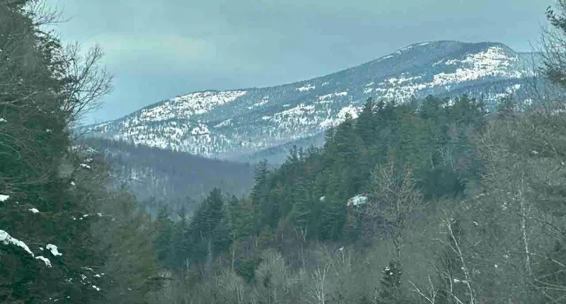 NY hiker clung to tree above Adirondack cliff after sliding hundreds of feet: ‘Thought she was going to die’