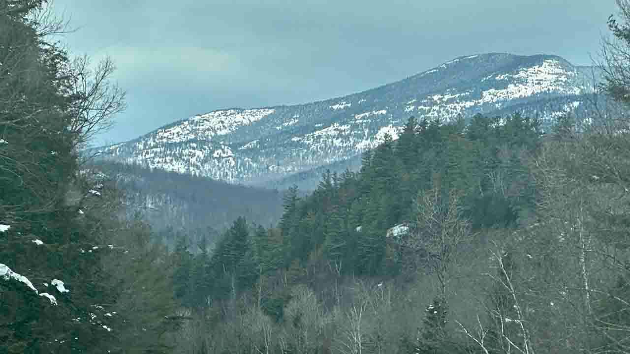 NY hiker clung to tree above Adirondack cliff after sliding hundreds of feet: ‘Thought she was going to die’