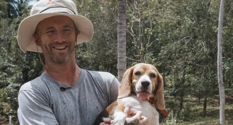 Niall Harbison Net Worth