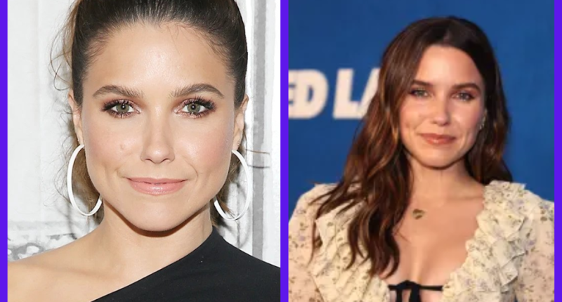 Sophia Bush Weight Loss And Diet Plan: Does She Have A Eating Disorder? Before And After