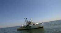 Supreme Court herring fishermen case 'about power': Law professor