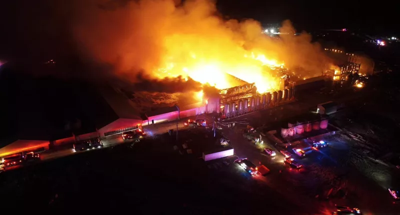 Texas chicken farm engulfed for hours in massive blaze