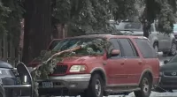 Two adults and a teen fatally-electrocuted in Portland