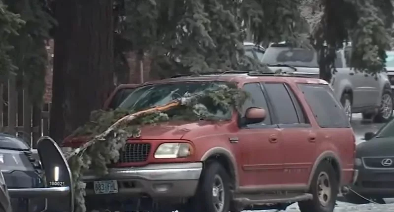 Two adults and a teen fatally-electrocuted in Portland