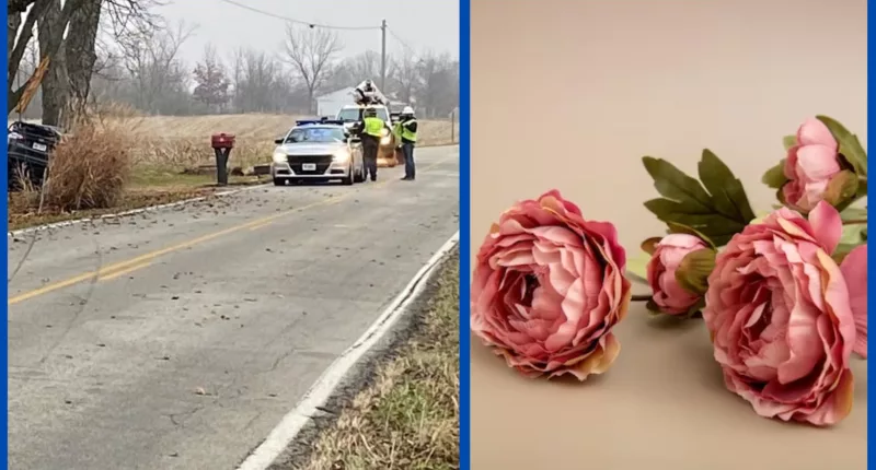 Was New Lebanon Nick Emrick Involved In A Car Accident? Tribute Explored