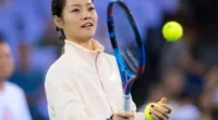 What Happened to Li Na? Did Li Na Get Plastic Surgery?