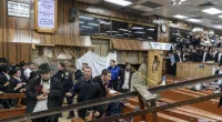 Wild clashes between NYPD, agitators outside synagogue tunnels caught on camera, go viral