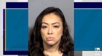 Woman accused of posing as Las Vegas attorney, forging judges’ signatures