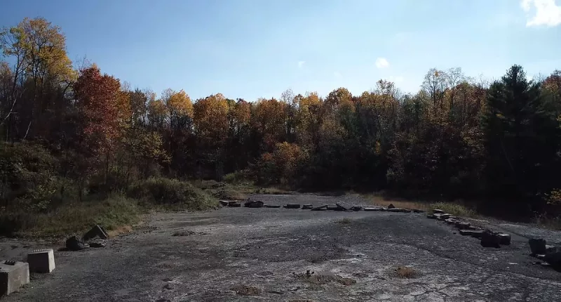 World's oldest forest is 385million years old and right by NYC