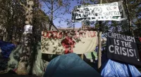 'Sow, Reap': Life Comes at Pro-Cuba Activist Fast After After Anti-Capitalism Rant Over Locked Up Merch