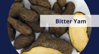 8 Incredible Health Benefits of Ona (Bitter Yam)