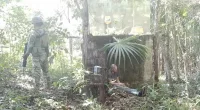American man kidnapped in Mexico is found in the jungle with eyes taped shut and hands bound together