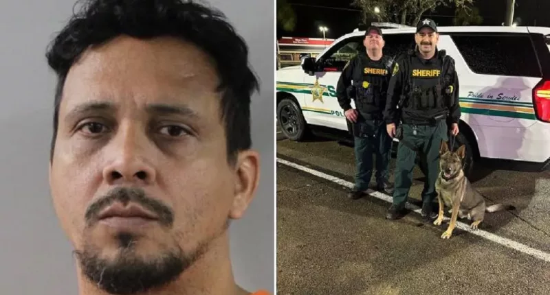 'America's Most Wanted' suspect linked to child sex crimes caught in Florida