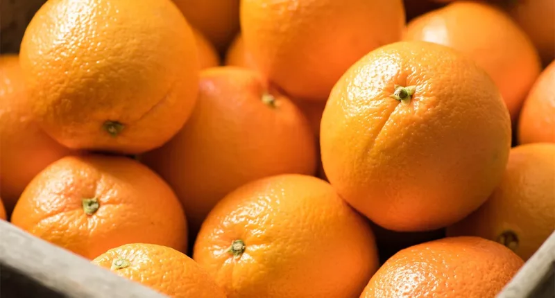 California to strip fruit from trees on over 2K properties to stop invasive bug