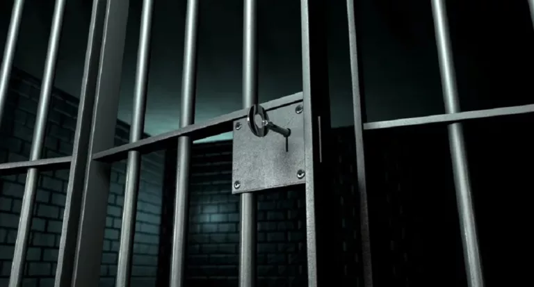 Chris Simpson Arrest: Where Is The Cartoonist Now?