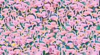 Spot the ballet dancer hidden among the flamingoes