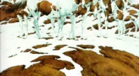 How many horses can you spot in this picture?