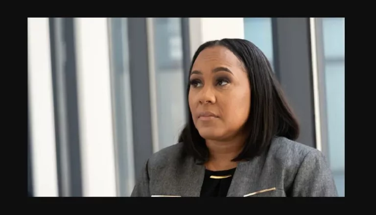 Fani Willis 22 Charges And Allegations Explained