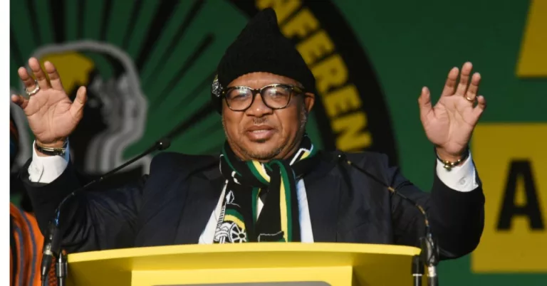 Fikile Mbalula Salary And Net Worth: How Rich Is Minister?